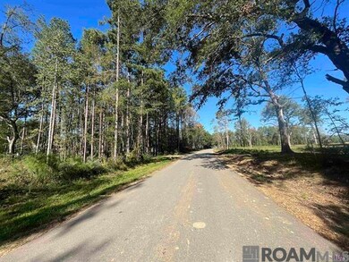 3315 Nesom Rd, Denham Springs, LA 70706 - photo 6