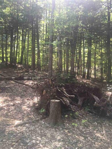 Route New Hampshire 113 unit 2, Holderness, NH 03245 - photo 3