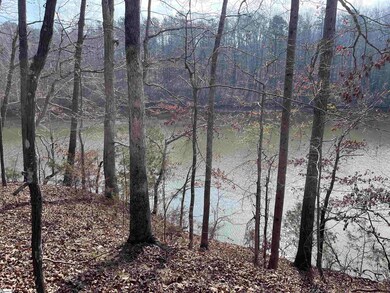 0 Lakeview Dr unit 1519656, Fair Play, SC 29643 - photo 5