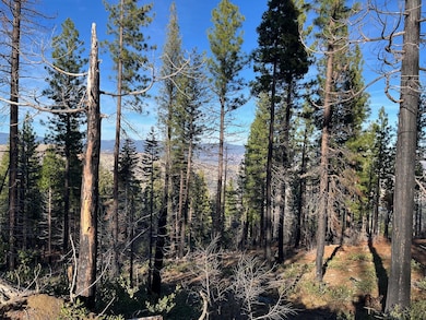 0 16 Acres unit 25-5180, Janesville, CA 96130 - photo 3