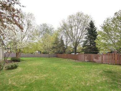 Large backyard for those summer games.