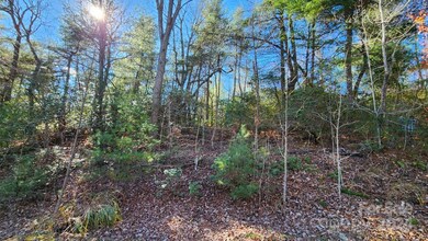 9999 Old Chestnut Ln unit 1, Hendersonville, NC 28739 - photo 7