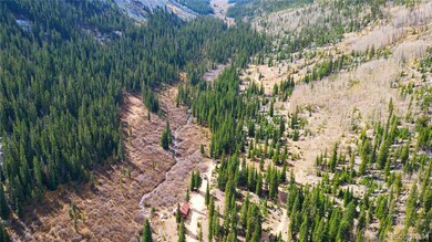 South Lot Chicago Creek Rd, Idaho Springs, CO 80452 - photo 7