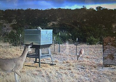 Rd, Comstock, TX 78837 - photo 4