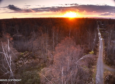 11360 E Fox Trail, Trapper Creek, AK 99683 - photo 2