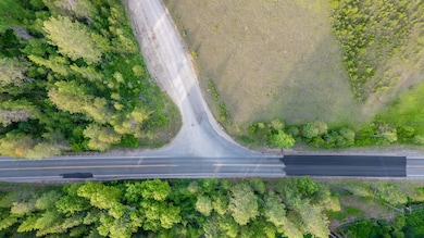 00 Buck Creek Rd, Loon Lake, WA 99148 - photo 3