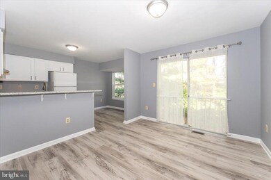 5792 Fringetree Ct, Frederick, MD 21703 - photo 4