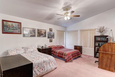 Expansive Master Bedroom