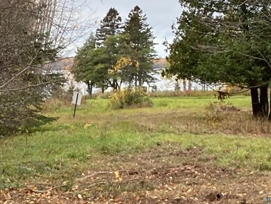 View of local wilderness