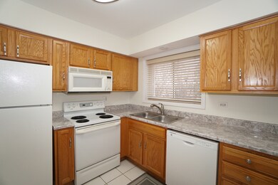 337 N Carter St unit 202, Palatine, IL 60067 - photo 5