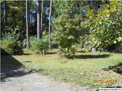 View of large level back yard