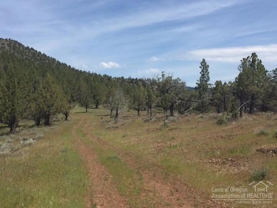 0 Shop Gulch unit 201705141, Mount Vernon, OR 97865 - photo 5