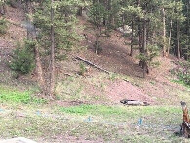 7245 & 723 Trout Creek Rd, Helena, MT 59602 - photo 4