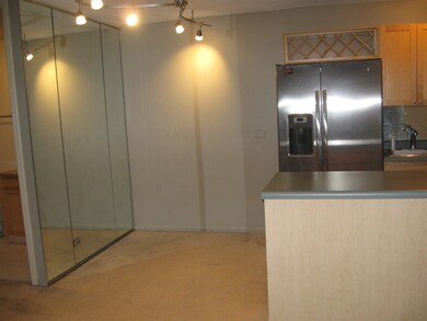 1339 N Dearborn St unit 2F, Chicago, IL 60610 - photo 3