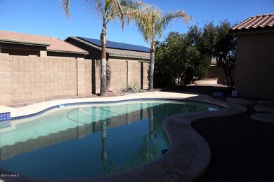 IMG_4176pool