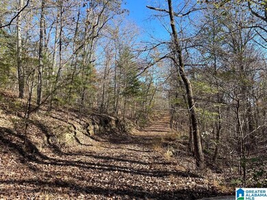 8924 Pine Mountain Rd, Pinson, AL 35126 - photo 2