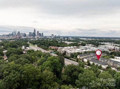 1910 Seegars Place, Charlotte, NC 28204 - photo 4