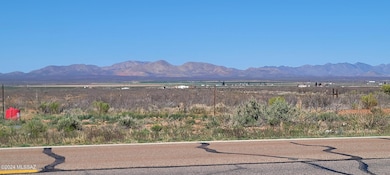 view west to Dragoon Mts from property
