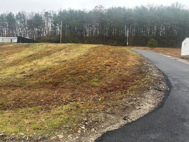 293   Lot 3 Freeman Branch Rd unit Lot 3, East Bernstadt, KY 40729 - photo 5