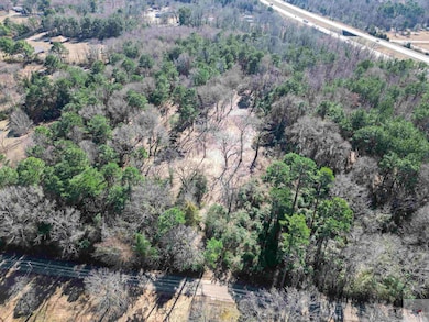 TBD Old Blackman Ferry Rd, Texarkana, AR 71854 - photo 3