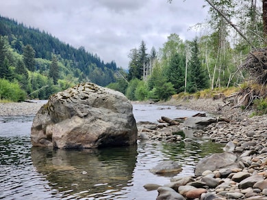 0 Dowan Creek Rd unit 24767132, Forks, WA 98331 - photo 6