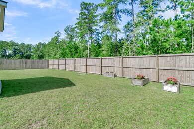 303 Firewheel Ct, Summerville, SC 29486 - photo 2