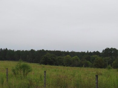 Pasture