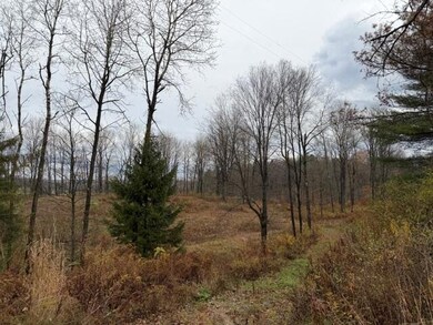 0 Woodbury Rd, Washington Township, PA 15824 - photo 7