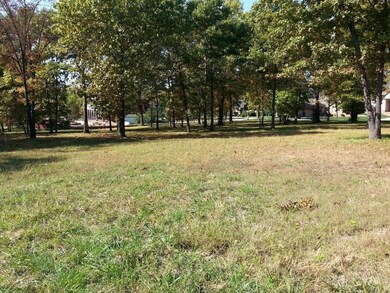 Lot 284 Little Aunts Creek Rd, Kimberling City, MO 65686 - photo 2