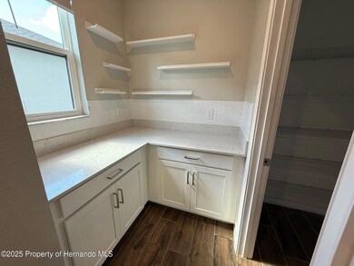 9904 Wild Begonia Loop, Land O' Lakes, FL 34637 - photo 5