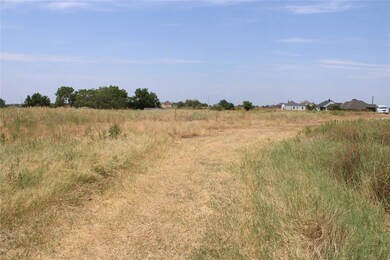 101 Kathy Stephens Ave, Springtown, TX 76082 - photo 3