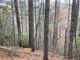 Lot 1375 Lyric Ln, Ellijay, GA 30540 - photo 5
