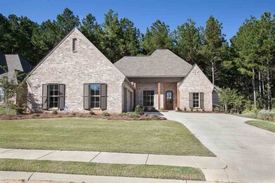114 Brisco St, Madison, MS 39110 - photo 4