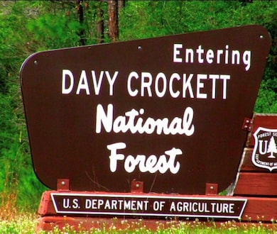 191 Fm 587, Kennard, TX 75847 - photo 3