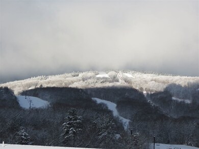2 Spaulding Farm Rd, Ludlow, VT 05149 - photo 6