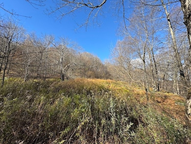 0 E Mountain Rd, Pleasant Mount, PA 18453 - photo 4