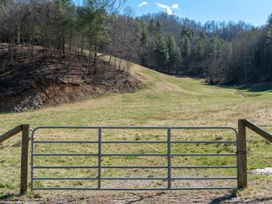 3263 Possum Trot Rd unit 2, Burnsville, NC 28714 - photo 5