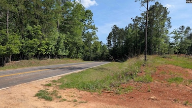 TBD Rolling Hills Rd, Ridgeway, SC 29130 - photo 6