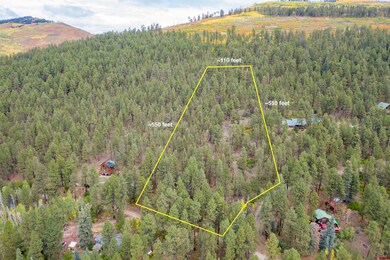 19 Glenn Ln, Durango, CO 81301 - photo 4