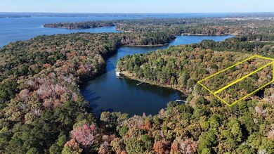 Lot 15 & 16 Hidden Lagoon Estates, Fort Gaines, GA 39851 - photo 4
