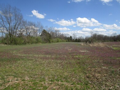 Tract-4 Cole Ln, Harrodsburg, KY 40330 - photo 6