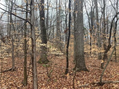 0 Zoo Pkwy unit 1134262, Asheboro, NC 27205 - photo 2