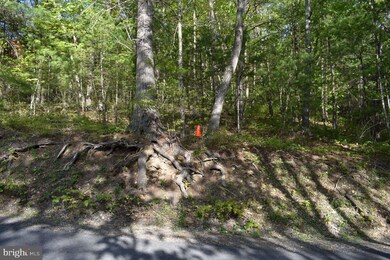 0 Lot # 72 Mallard Dr unit VASH2003080, Basye, VA 22810 - photo 5