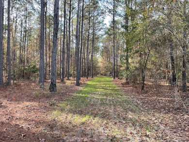 County Road 69, Selma, AL 36701 - photo 2