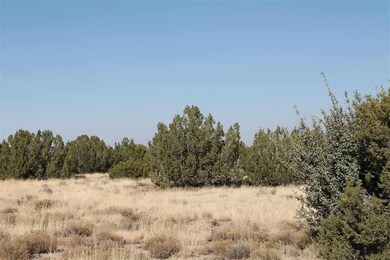 1731 Silver Lake Blvd, Show Low, AZ 85901 - photo 6