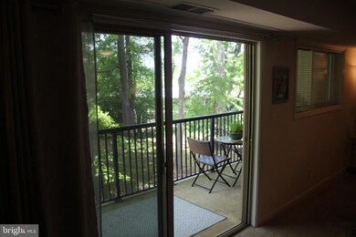 1101 Primrose Ct unit 203, Annapolis, MD 21403 - photo 4