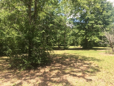 1016 W Mchenry Rd, McHenry, MS 39561 - photo 7