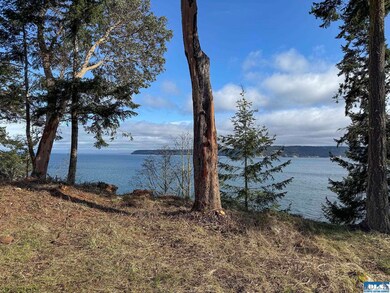 358 Daisey King Rd, Sequim, WA 98382 - photo 6