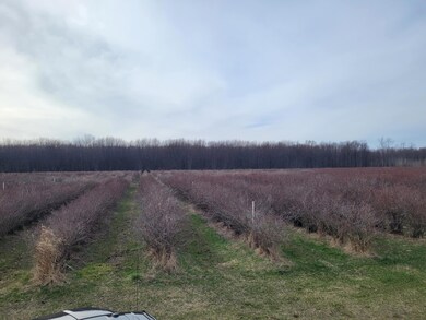 0 72nd St unit 25012219, Covert, MI 49043 - photo 5