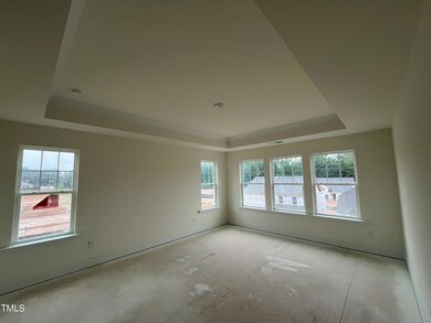 Primary Suite w/Tray Ceiling